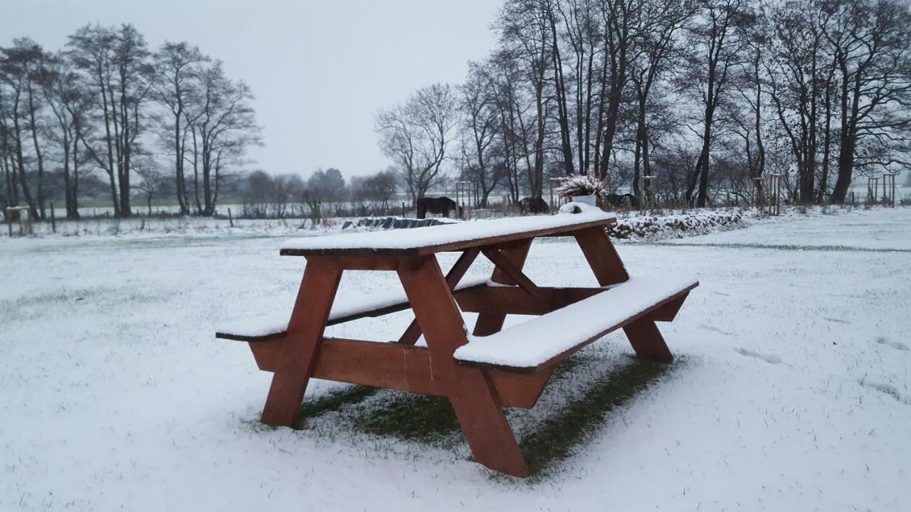 Emsdune Oberlangen Zewnętrze zdjęcie